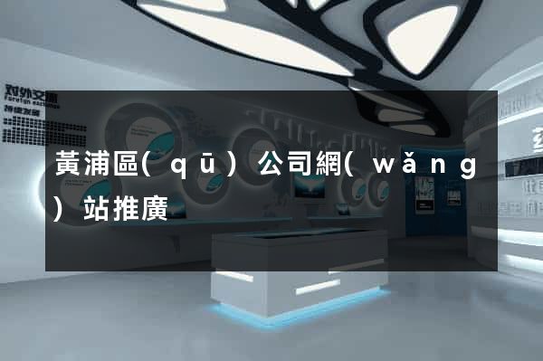 黃浦區(qū)公司網(wǎng)站推廣
