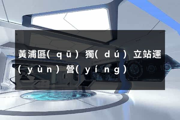 黃浦區(qū)獨(dú)立站運(yùn)營(yíng)