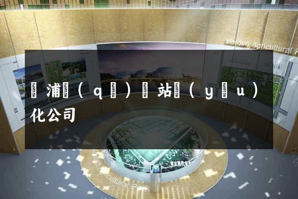 黃浦區(qū)網站優(yōu)化公司