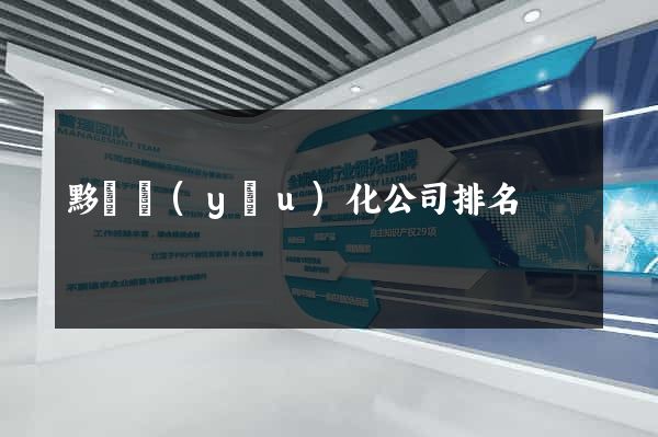 黟縣優(yōu)化公司排名