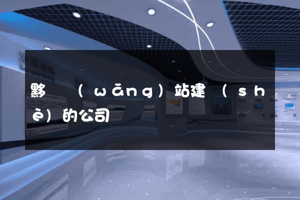 黟縣網(wǎng)站建設(shè)的公司