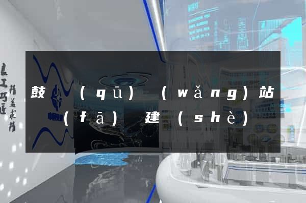 鼓樓區(qū)網(wǎng)站開發(fā)與建設(shè)