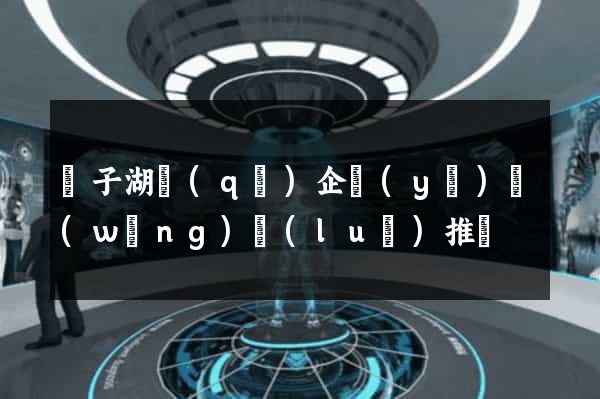 龍子湖區(qū)企業(yè)網(wǎng)絡(luò)推廣