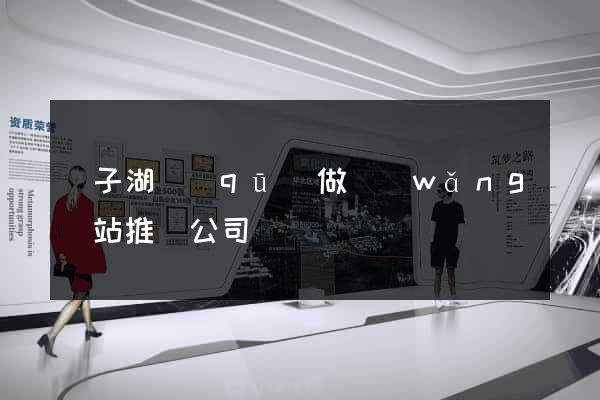 龍子湖區(qū)做網(wǎng)站推廣公司