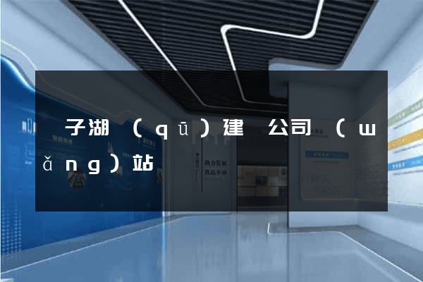 龍子湖區(qū)建設公司網(wǎng)站