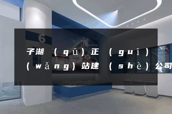 龍子湖區(qū)正規(guī)網(wǎng)站建設(shè)公司