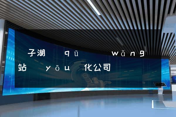 龍子湖區(qū)網(wǎng)站優(yōu)化公司