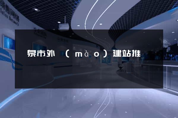龍泉市外貿(mào)建站推廣
