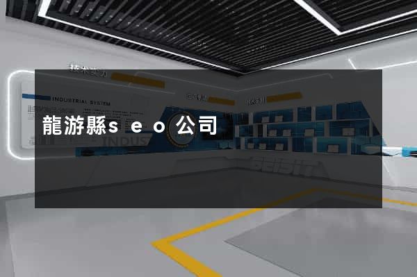 龍游縣seo公司