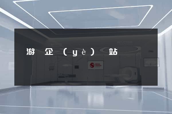 龍游縣企業(yè)網站設計