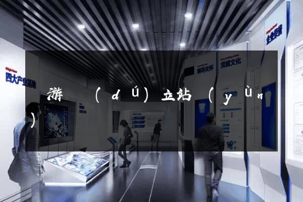 龍游縣獨(dú)立站運(yùn)營