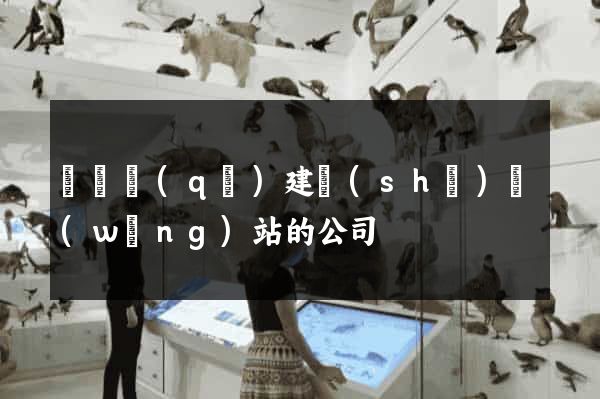 龍灣區(qū)建設(shè)網(wǎng)站的公司