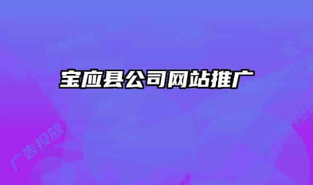 寶應縣公司網(wǎng)站推廣