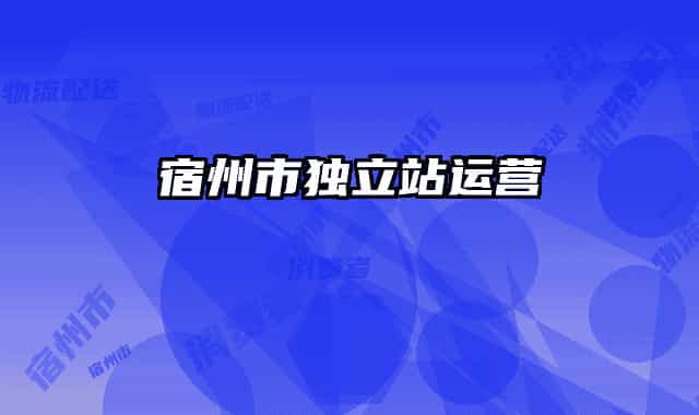 宿州市獨(dú)立站運(yùn)營