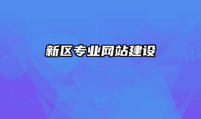 新區(qū)專(zhuān)業(yè)網(wǎng)站建設(shè)