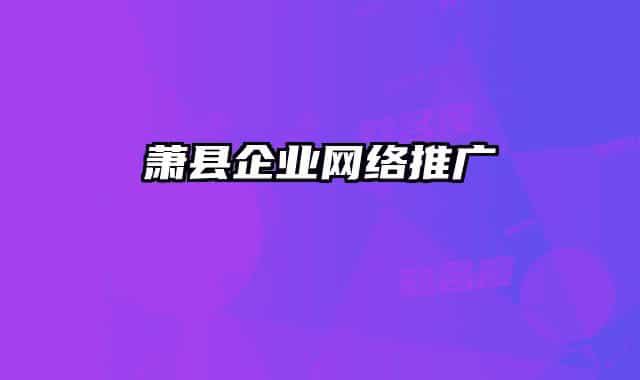 蕭縣企業(yè)網(wǎng)絡推廣