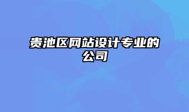 貴池區(qū)網(wǎng)站設(shè)計(jì)專業(yè)的公司