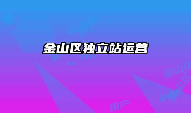 金山區(qū)獨(dú)立站運(yùn)營(yíng)