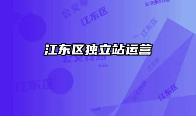 江東區(qū)獨(dú)立站運(yùn)營