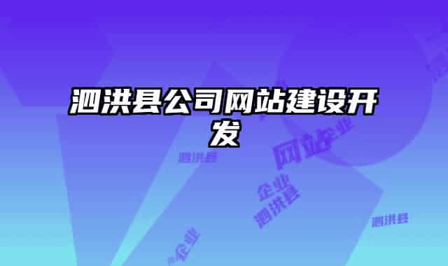 泗洪縣公司網(wǎng)站建設(shè)開發(fā)