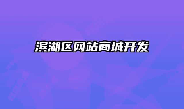 濱湖區(qū)網(wǎng)站商城開發(fā)