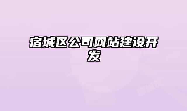 宿城區(qū)公司網(wǎng)站建設(shè)開發(fā)