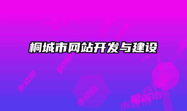 桐城市網(wǎng)站開(kāi)發(fā)與建設(shè)