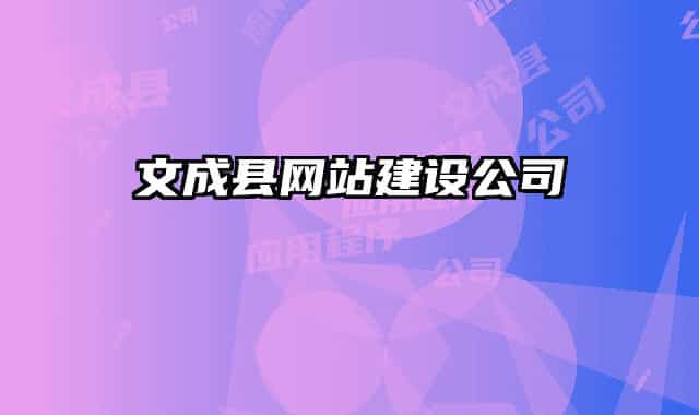 文成縣網(wǎng)站建設(shè)公司