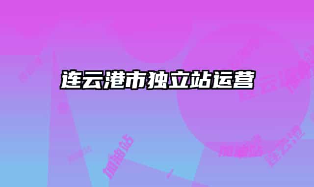 連云港市獨立站運營