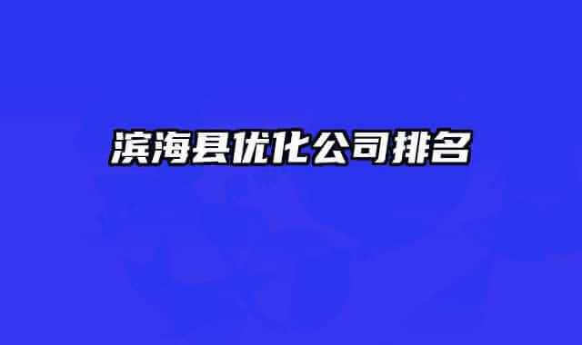 濱海縣優(yōu)化公司排名