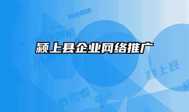 潁上縣企業(yè)網(wǎng)絡(luò)推廣