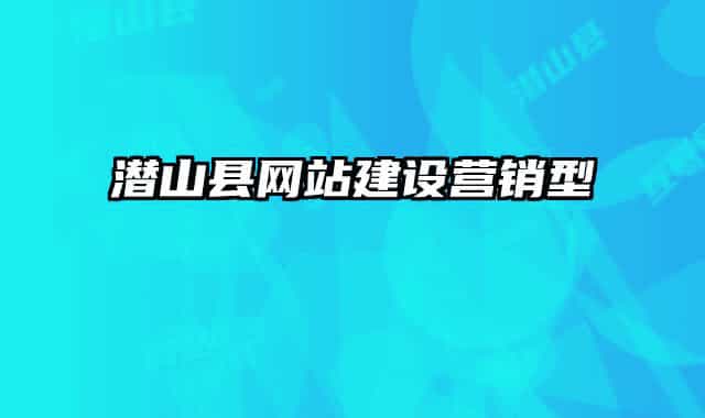 潛山縣網(wǎng)站建設(shè)營(yíng)銷(xiāo)型