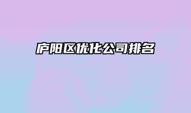 廬陽區(qū)優(yōu)化公司排名