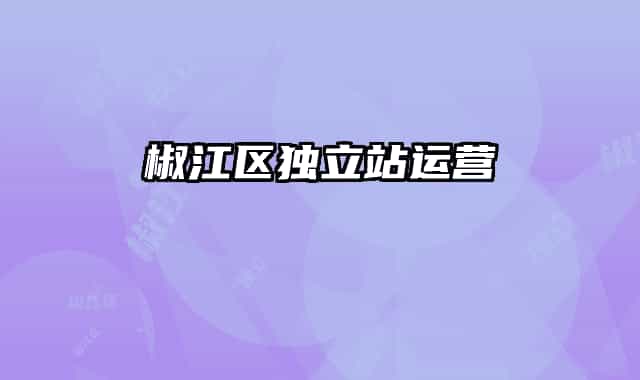 椒江區(qū)獨立站運營
