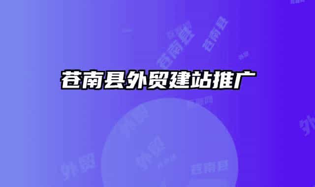 蒼南縣外貿(mào)建站推廣