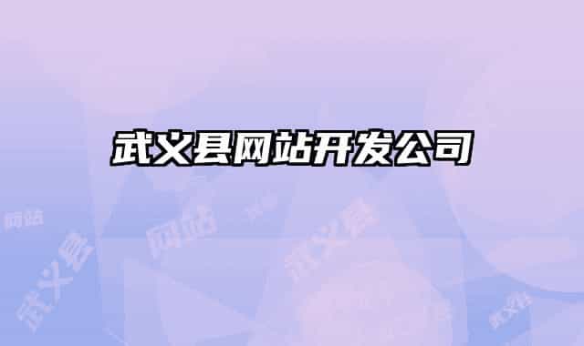 武義縣網(wǎng)站開(kāi)發(fā)公司