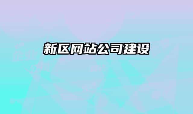 新區(qū)網(wǎng)站公司建設