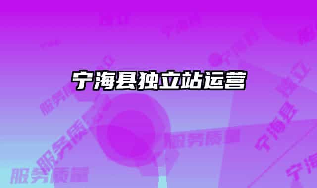寧?？h獨(dú)立站運(yùn)營(yíng)