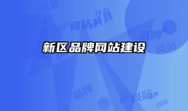 新區(qū)品牌網(wǎng)站建設