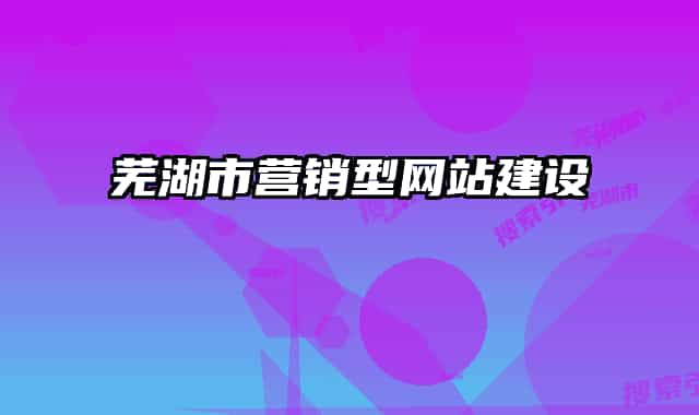 蕪湖市營銷型網站建設