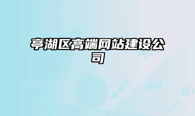 亭湖區(qū)高端網(wǎng)站建設(shè)公司