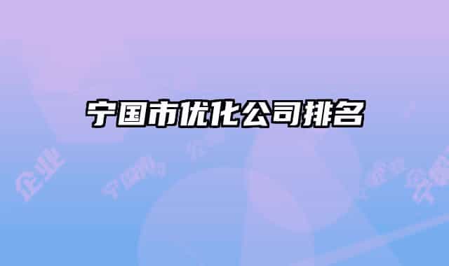 寧國(guó)市優(yōu)化公司排名