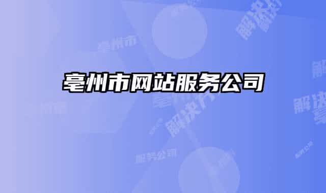 亳州市網(wǎng)站服務公司