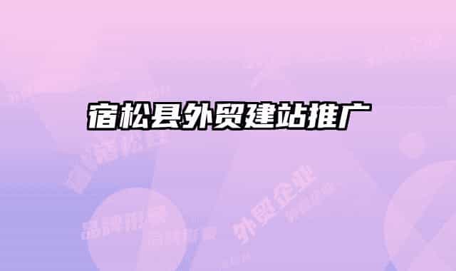 宿松縣外貿建站推廣