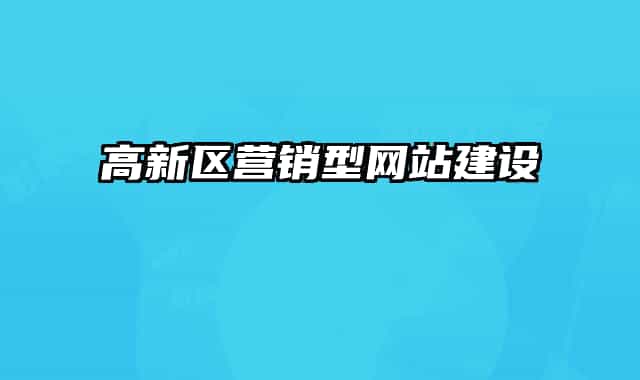 高新區(qū)營(yíng)銷型網(wǎng)站建設(shè)