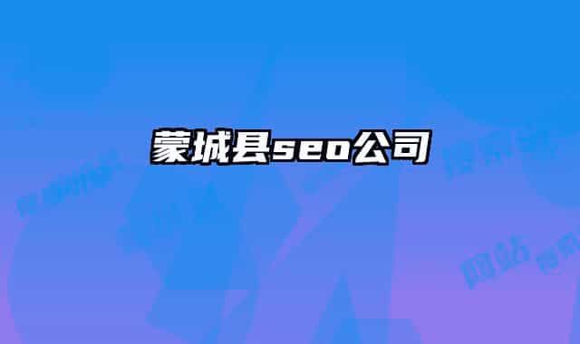 蒙城縣seo公司