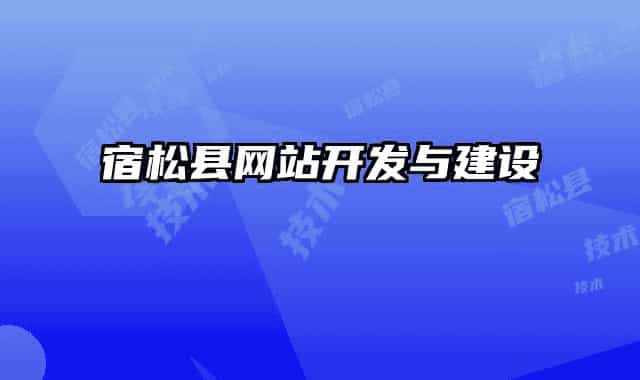 宿松縣網(wǎng)站開發(fā)與建設
