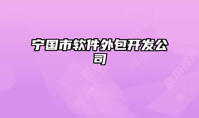 寧國(guó)市軟件外包開(kāi)發(fā)公司