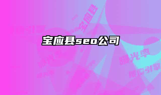 寶應(yīng)縣seo公司