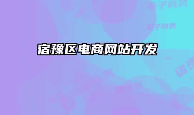 宿豫區(qū)電商網(wǎng)站開發(fā)